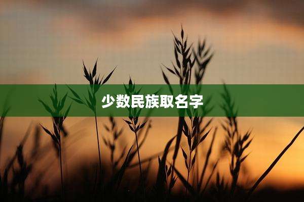 少数民族取名字