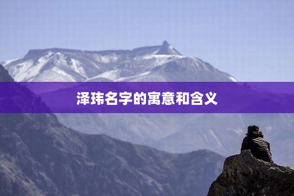 泽玮名字的寓意和含义