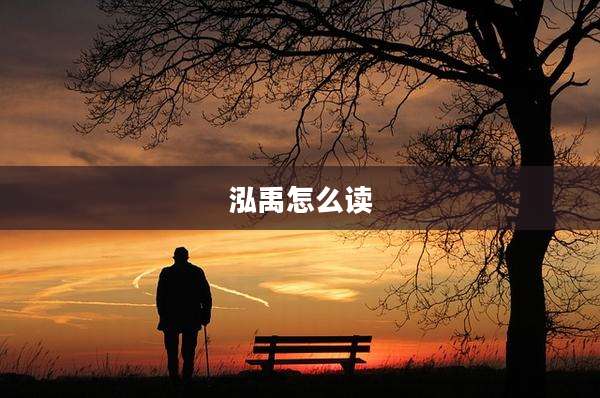 泓禹怎么读