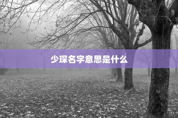 少琛名字意思是什么