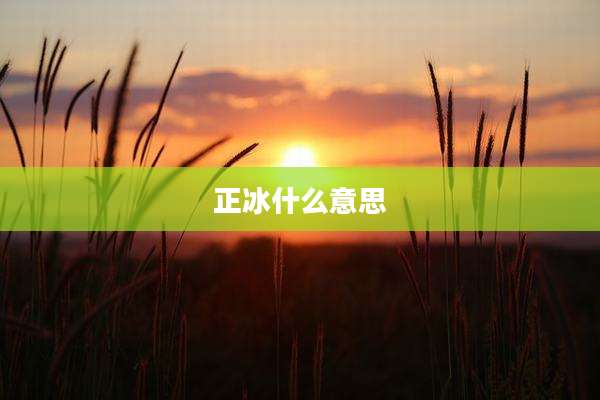 正冰什么意思