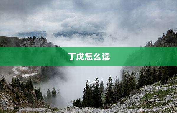丁戊怎么读