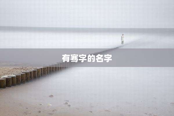 有骞字的名字