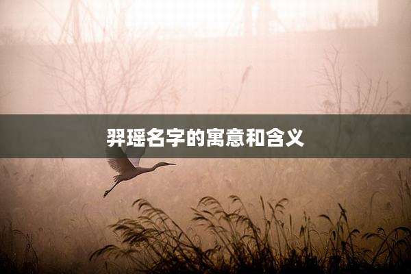羿瑶名字的寓意和含义