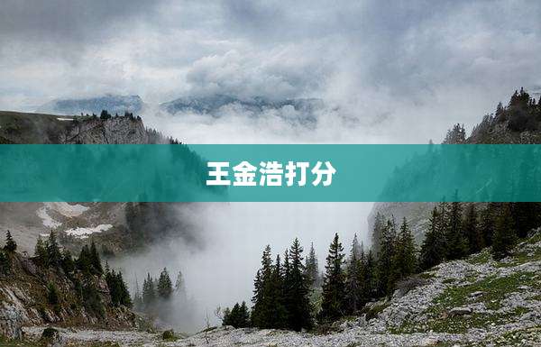 王金浩打分