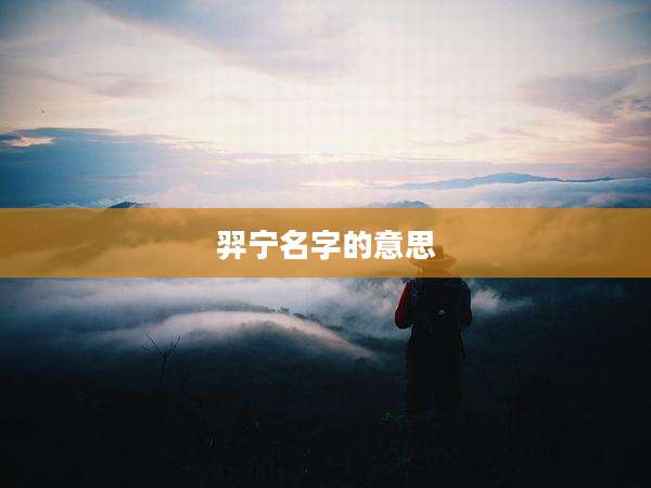 羿宁名字的意思