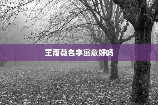 王雨薇名字寓意好吗