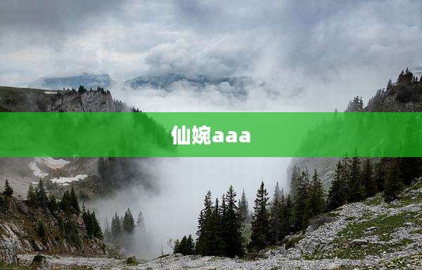 仙婉aaa