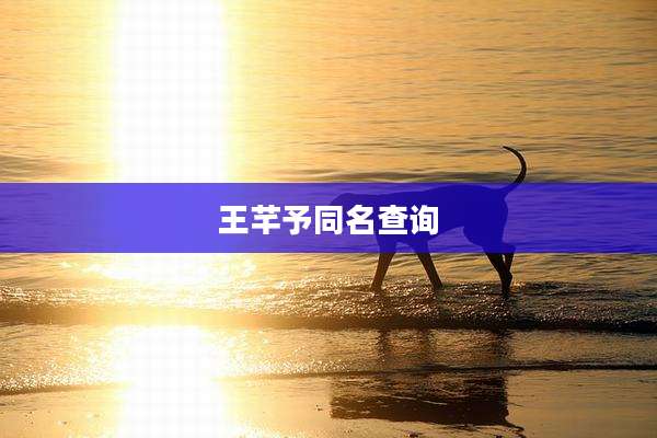 王芊予同名查询