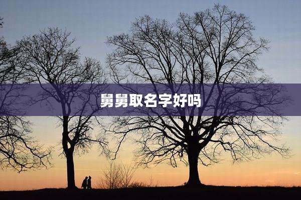 舅舅取名字好吗