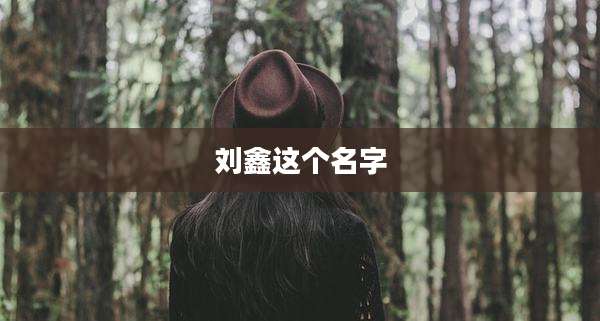 刘鑫这个名字