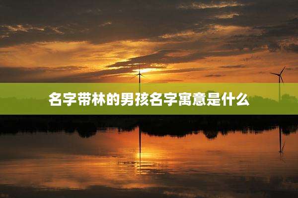 名字带林的男孩名字寓意是什么
