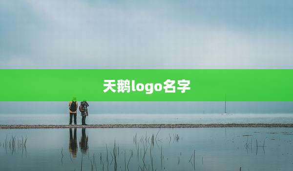 天鹅logo名字