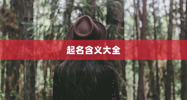 起名含义大全