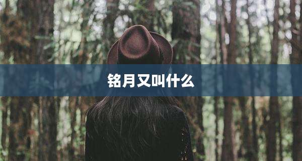 铭月又叫什么