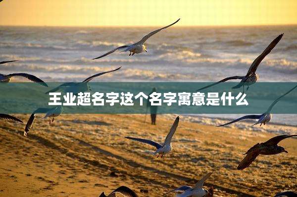 王业超名字这个名字寓意是什么