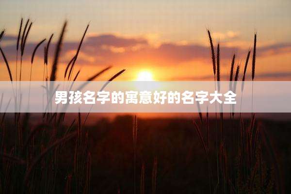 男孩名字的寓意好的名字大全