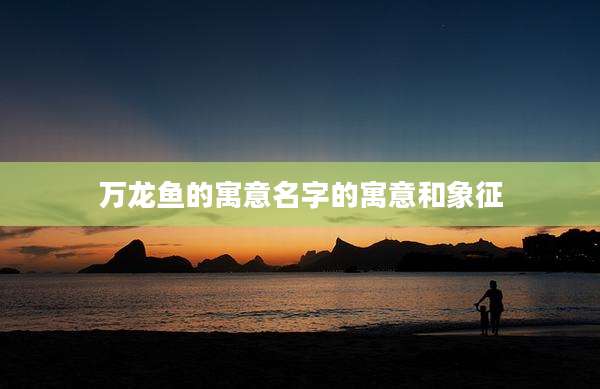 万龙鱼的寓意名字的寓意和象征