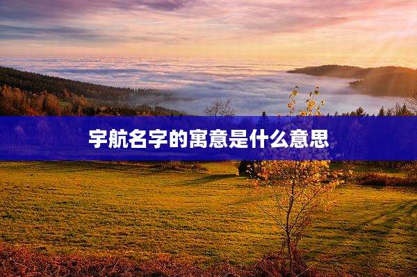 宇航名字的寓意是什么意思