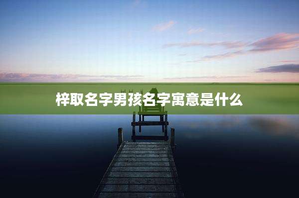 梓取名字男孩名字寓意是什么