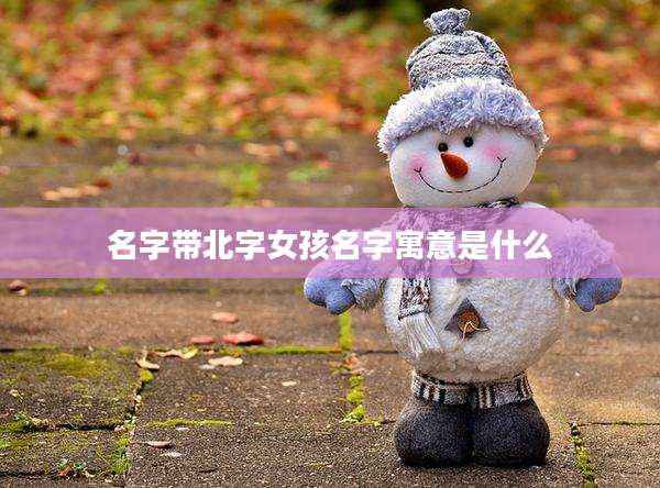 名字带北字女孩名字寓意是什么