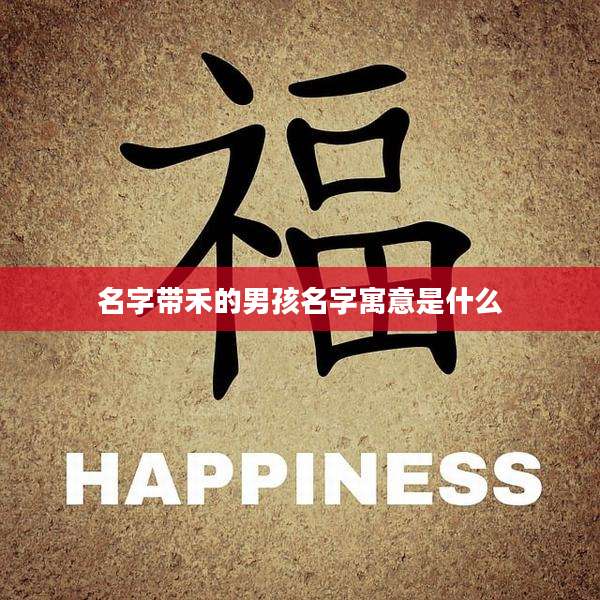 名字带禾的男孩名字寓意是什么