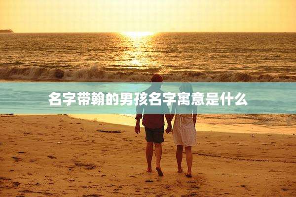 名字带翰的男孩名字寓意是什么