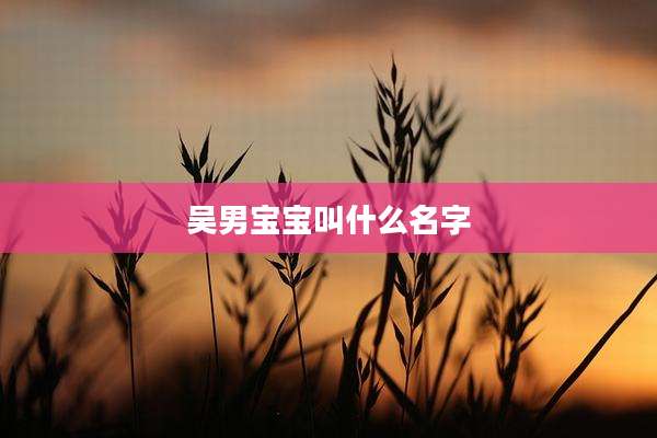 吴男宝宝叫什么名字