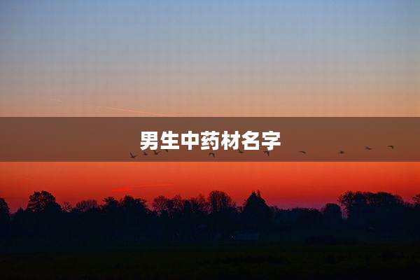 男生中药材名字
