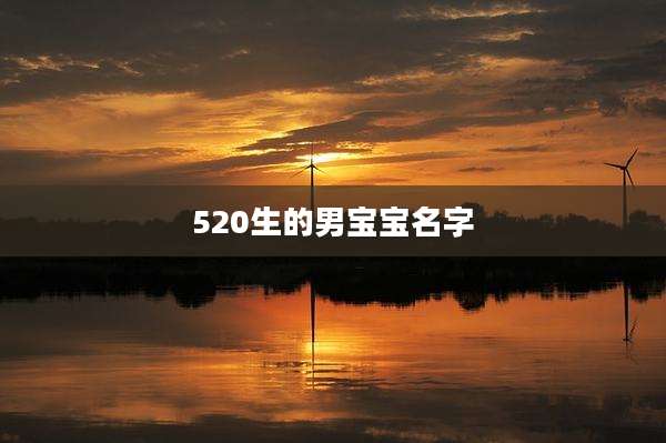 520生的男宝宝名字