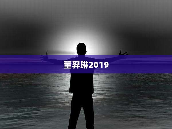 董羿琳2019
