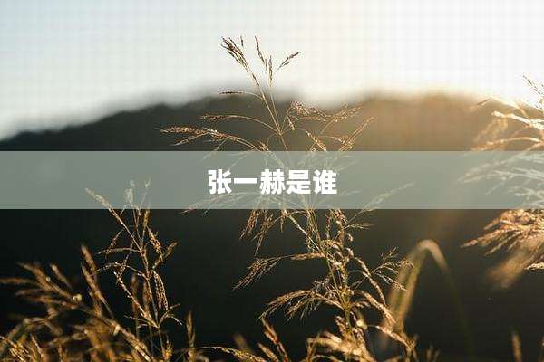 张一赫是谁