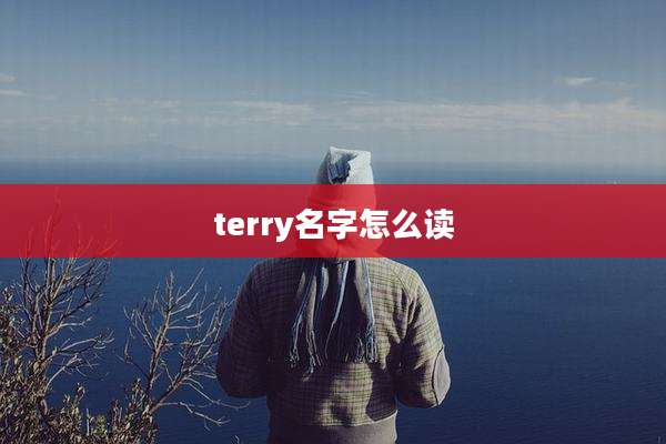 terry名字怎么读
