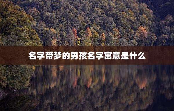 名字带梦的男孩名字寓意是什么