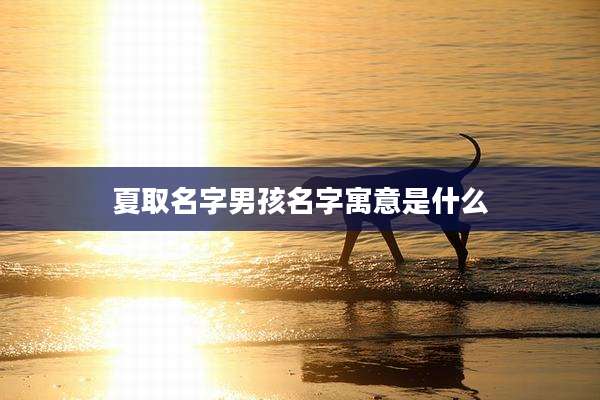 夏取名字男孩名字寓意是什么