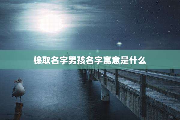 棕取名字男孩名字寓意是什么