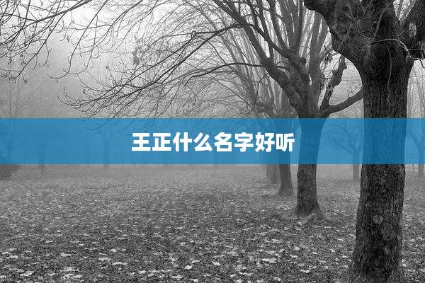 王正什么名字好听