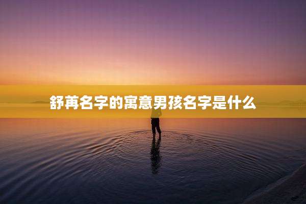 舒苒名字的寓意男孩名字是什么