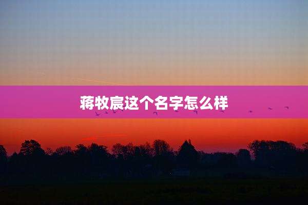 蒋牧宸这个名字怎么样