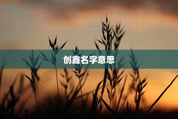 创鑫名字意思