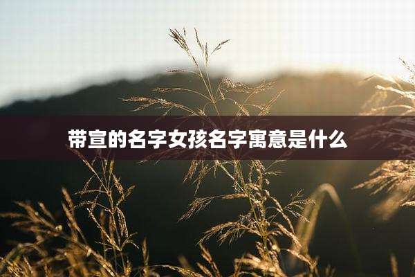 带宣的名字女孩名字寓意是什么