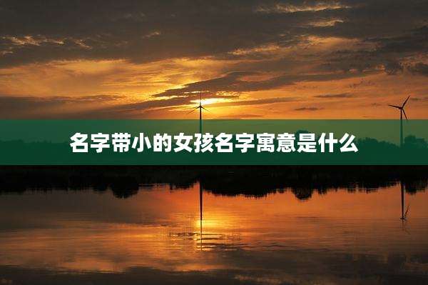 名字带小的女孩名字寓意是什么