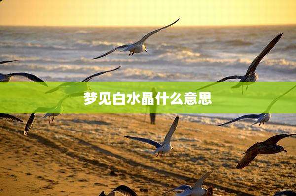 梦见白水晶什么意思