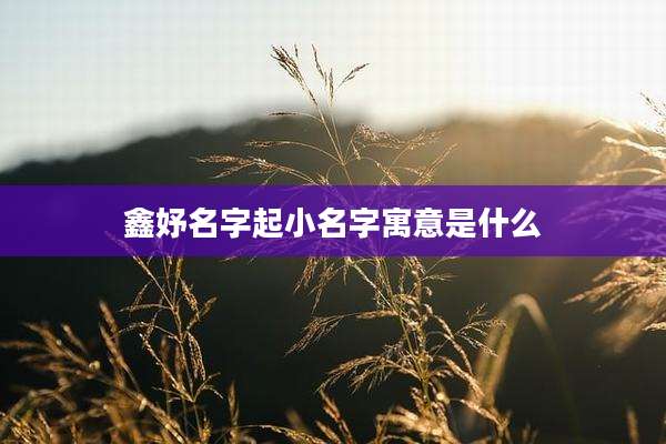 鑫妤名字起小名字寓意是什么