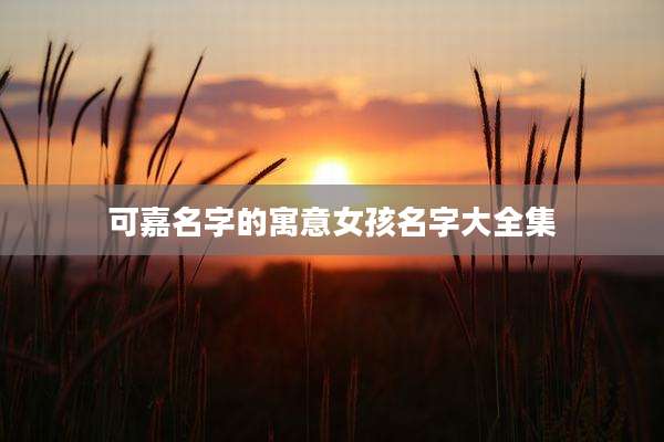 可嘉名字的寓意女孩名字大全集