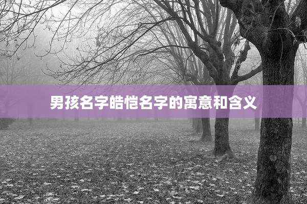 男孩名字皓恺名字的寓意和含义