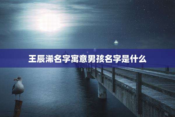 王辰浠名字寓意男孩名字是什么
