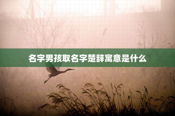 名字男孩取名字楚辞寓意是什么