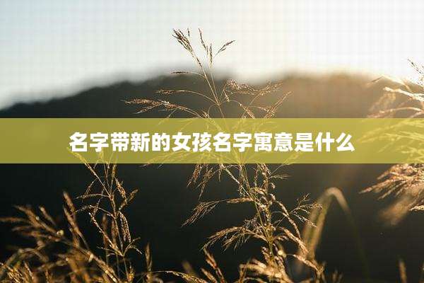 名字带新的女孩名字寓意是什么