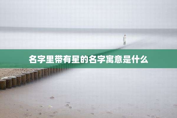 名字里带有星的名字寓意是什么